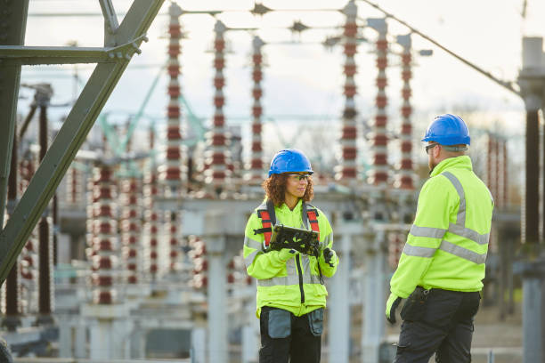 Best Electric Panel Repair  in Deer Park, NY